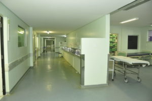 CC HCMF (2)